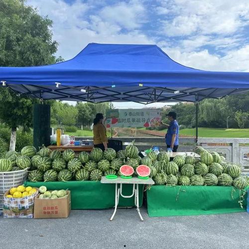 路桥吃瓜,揭秘吃瓜群众的围观秘籍