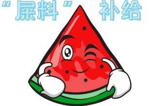 各种cp吃瓜现场,揭秘娱乐圈甜蜜背后的真相