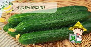 吃瓜剪辑怎么配,揭秘吃瓜剪辑背后的趣味与技巧