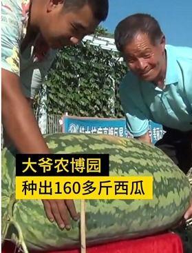 劫匪吃瓜,竟引发一连串惊心动魄的悬疑事件