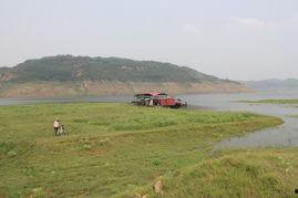 你的渡口独家吃瓜,吃瓜群众的狂欢盛宴