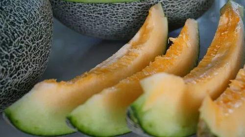 你的渡口独家吃瓜,吃瓜群众的狂欢盛宴