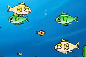 小鱼和酷酷谈吃瓜,揭秘娱乐圈幕后故事