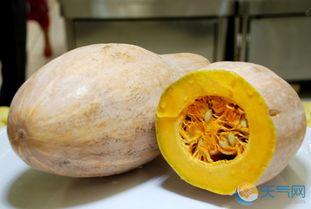 大雾瓜怎么吃,解锁美味新体验