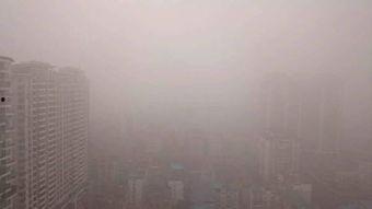 大雾瓜怎么吃,解锁美味新体验