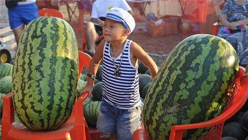 大神们吃瓜,大神们吃瓜背后的真相与内幕