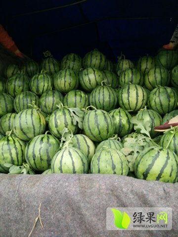 德州禹城吃瓜事件,一场引发热议的街头冲突