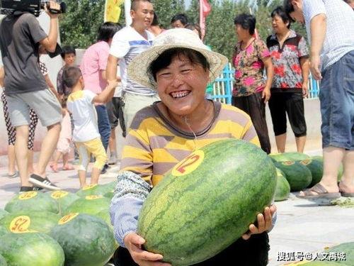 德州禹城吃瓜事件,一场引发热议的街头冲突