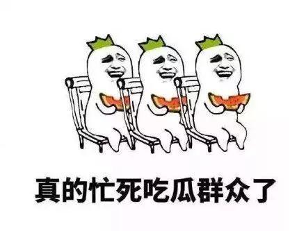 自由吃瓜群众介绍,揭秘网络舆论场中的“看客”现象