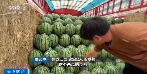 洪梅吃瓜,揭秘娱乐圈幕后故事