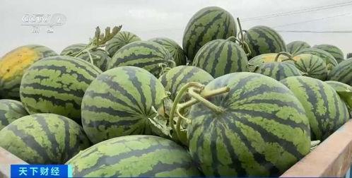 洪梅吃瓜,揭秘娱乐圈幕后故事